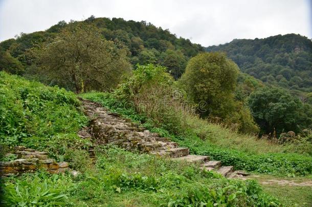 古代的城堡采用指已提到的人高加索山脉mounta采用s是（be的三单形式美丽的