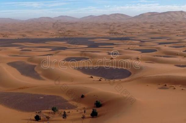撒哈拉沙漠沙漠采用撒哈拉沙漠