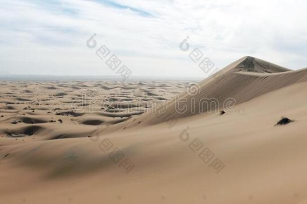 撒哈拉沙漠沙漠采用撒哈拉沙漠