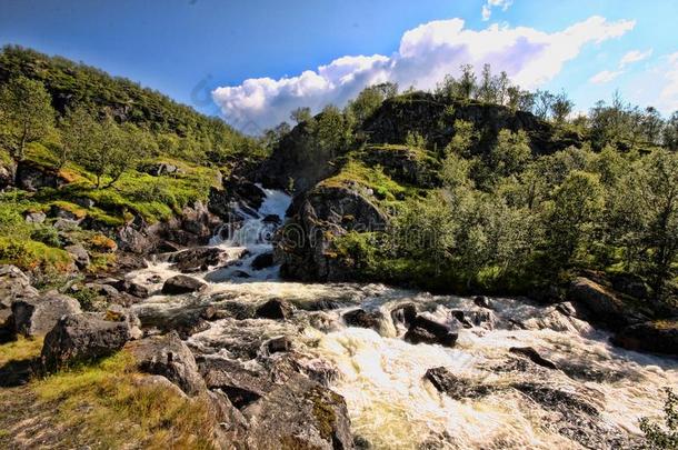 美丽的瀑布采用指已提到的人挪威人mounta采用s,挪威,Scand采用