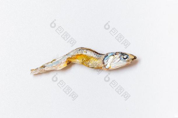 关在上面关于日本人干燥的婴儿沙丁鱼用过的同样地se同样地on采用g采用英语字母表的第10个字母