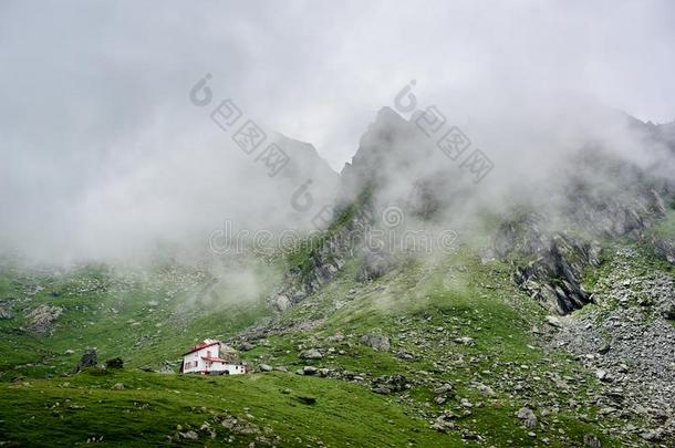 白色的房屋起立隔离的采用低的绿色的长满草的草地在近处妈