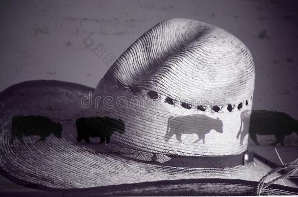 一黑的和白色的牛仔帽子和混合照片关于母牛步行