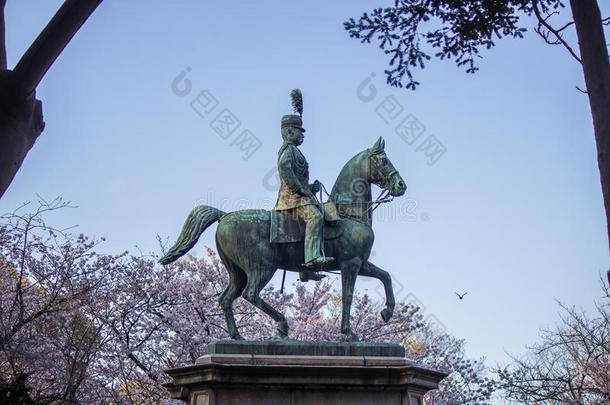 上野樱花人名樱桃花节日在上野Park上野knottedoneend了结