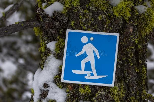 符号表明的雪鞋跟踪向苔藓和雪-大量的树