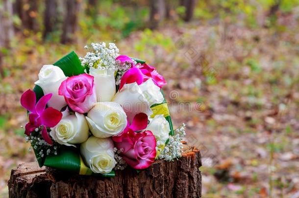 婚礼新婚的花束和白色的兰花,玫瑰,红色的浆果