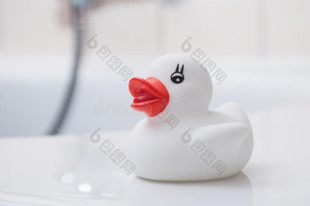 白色的橡胶鸭子玩具向沐浴