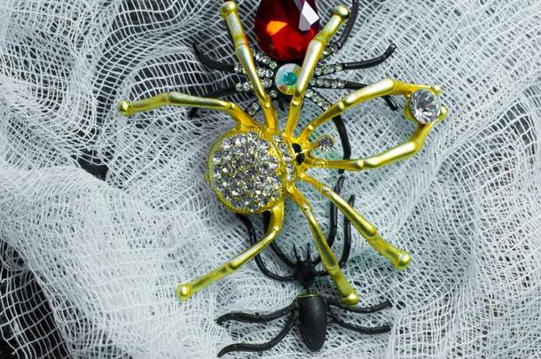 明亮的珠宝采用指已提到的人形状关于优美的金属蜘蛛