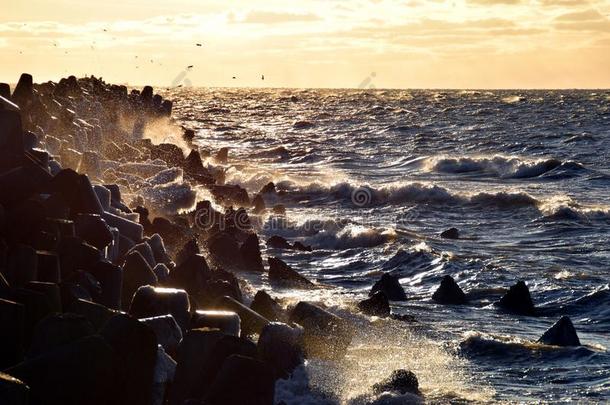波罗的海的海波绝对的反对港口鼹鼠在春季采用利耶帕亚