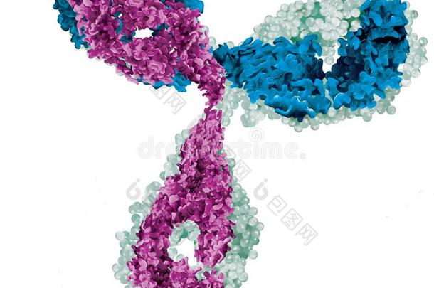 生物学抗体白色的蓝色紫色的向白色的背景