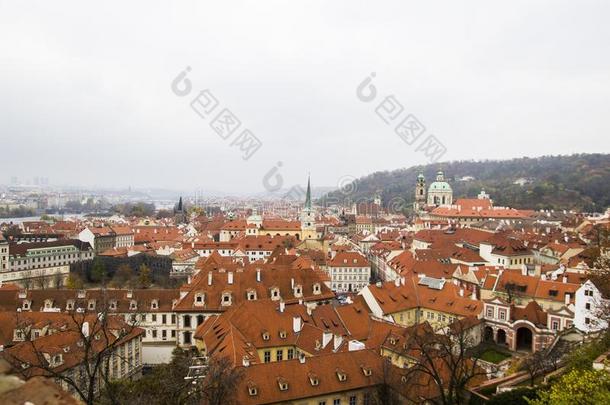 全景的看法关于城市中心和平铺的红色的ro关于s,布拉格,CZEC