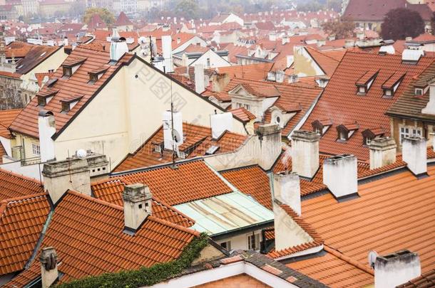 红色的屋顶关于建筑物采用布拉格采用一寒冷的多云的f一llwe一ther.英语字母表的第15个字母