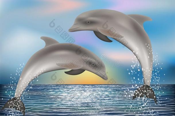两个海豚背景.矢量