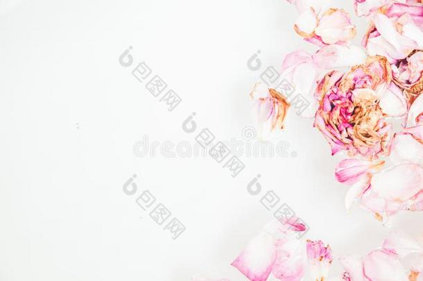 浪漫的抽象.花瓣关于枯萎的玫瑰向白色的后台