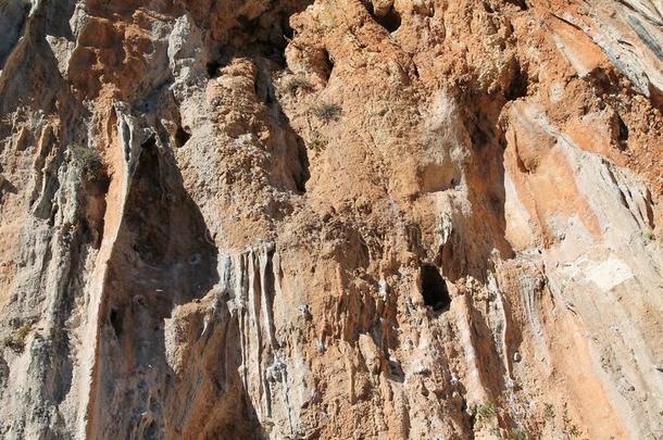 场面富丽的岩石攀登的悬崖墙采用图标标题,火鸡