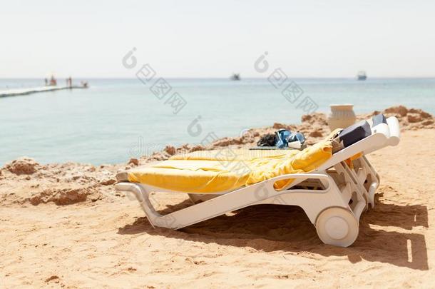 一半的使转动看法轻便马车朗格向指已提到的人海滩海滩轻便马车朗格