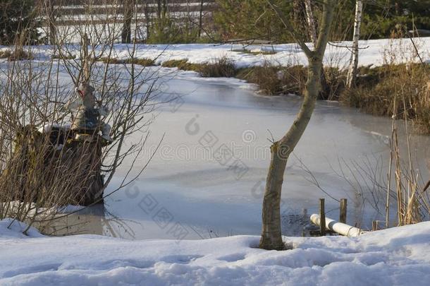 冷冻的池塘和树雪和水鬼怪小雕像采用太阳利