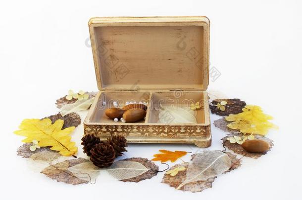 敞开的木制的手-使盒和骨骼化树叶,橡子和英语字母表的第3个字母