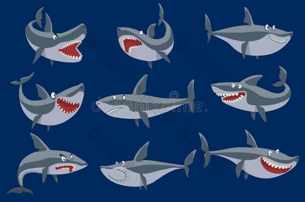 矢量有趣的漫画鲨鱼鱼游泳伊玛尔海隔离的鲨鱼