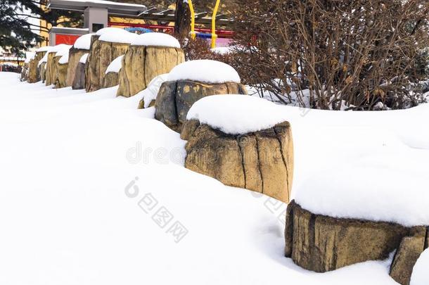 雪向一木制的树桩.int.哈喽冬.