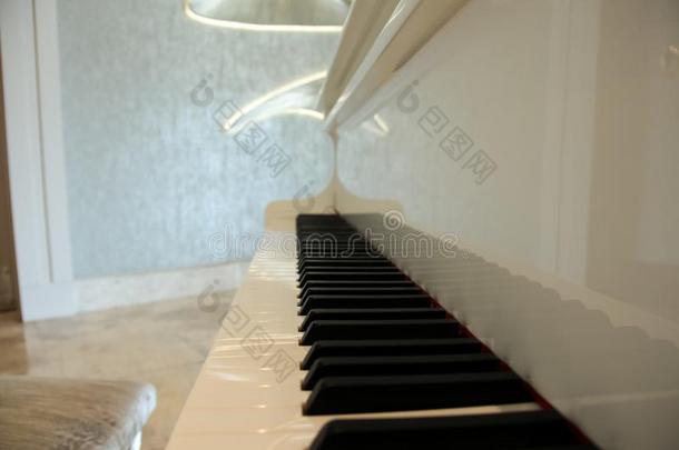 白色的大大地钢琴关-在上面射手,音乐的仪器.钢琴王钦贤