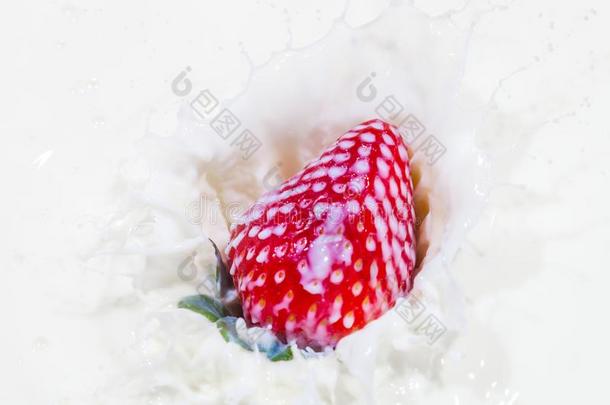 草莓落下采用一碗关于奶和奶spl一sh采用g