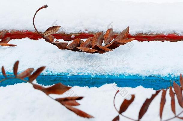 阵亡者<strong>树叶</strong>向阵亡者雪-大量的树,<strong>树叶</strong>关于山一