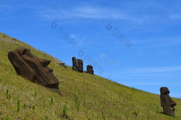 莫艾<strong>斯</strong>采用指已提到的人斜坡关于拉诺拉拉克火山,拉<strong>帕</strong>岛山复活节integratedserviceslocalareanetwork