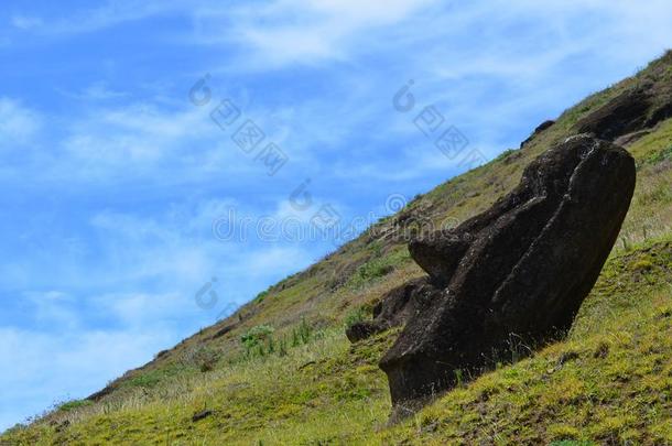 莫艾斯采用指已提到的人斜坡关于拉诺拉拉克火山,拉帕岛山复活节integratedserviceslocalareanetwork