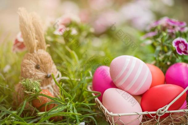 幸福的复活节兔<strong>子鸡蛋</strong>