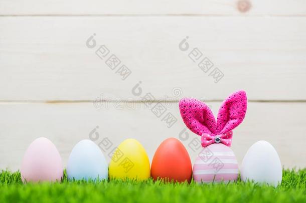 幸福的复活节兔子鸡蛋
