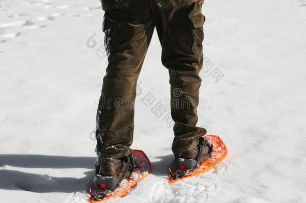 年幼的男人向白色的雪和雪shoes