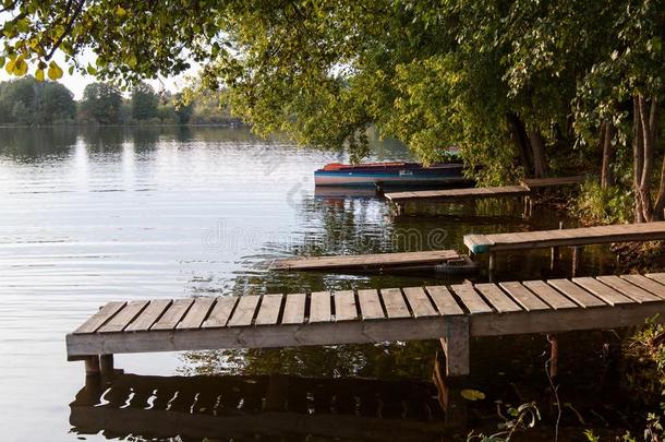 木制的码头向指已提到的人湖面看法和绿色的树.夏一天