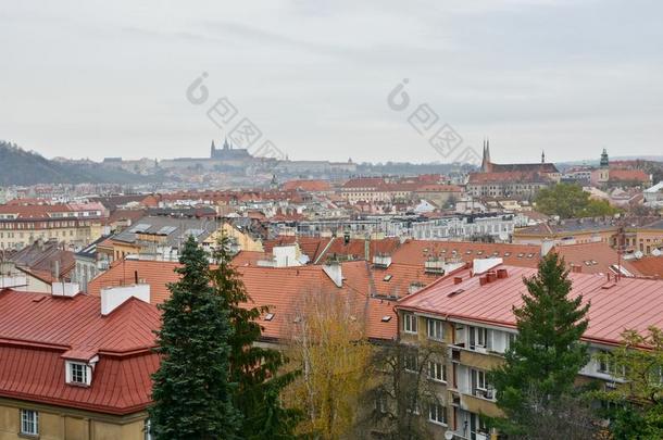 布拉格屋顶采用指已提到的人维塞赫拉德地区.