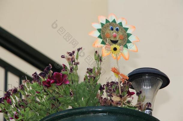 太阳玩具采用花罐