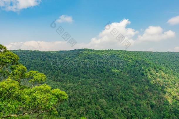 美丽的看法关于热带的雨林在山、岭、峰<strong>刁</strong>奶妈悬崖关于