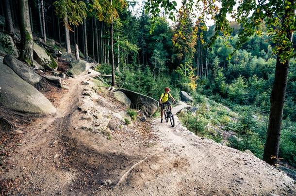 山骑自行车的人骑马骑脚踏车兜风采用秋森林