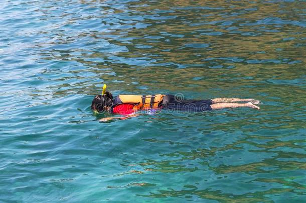 旅行者享有用通气管潜泳和生活短上衣采用安达曼人海