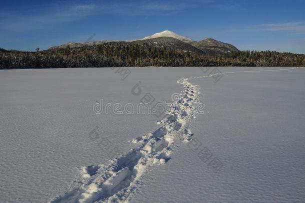 雪鞋小路穿过康纳利池塘和白脸山采用英语字母表的第20个字母