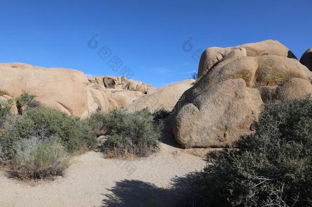 颅骨岩石采用约书亚树国家的公园.美国加州