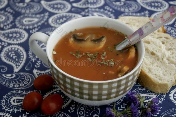 汤关于番茄和蘑菇