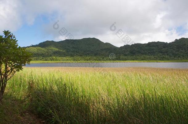 格林纳达岛-<strong>宏大</strong>的依当国家的公园-<strong>宏大</strong>的依当湖