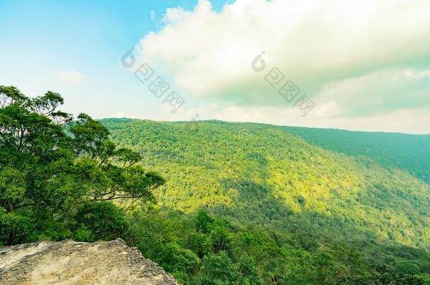 美丽的看法关于热带的雨林在山、岭、峰刁奶妈悬崖关于