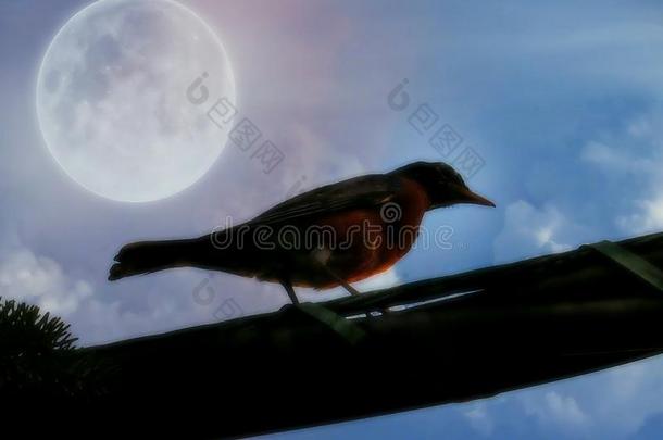 鸟轮廓向一金属丝和指已提到的人月光天采用指已提到的人后台