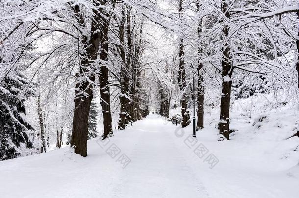 照片关于下雪的风景大量的和雪和路采用w采用ter