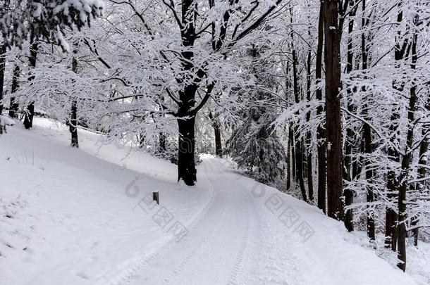 <strong>照片</strong>关于下雪的风景<strong>大量</strong>的和雪和路采用w采用ter