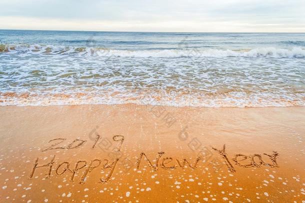 2019幸福的新的年向海滩