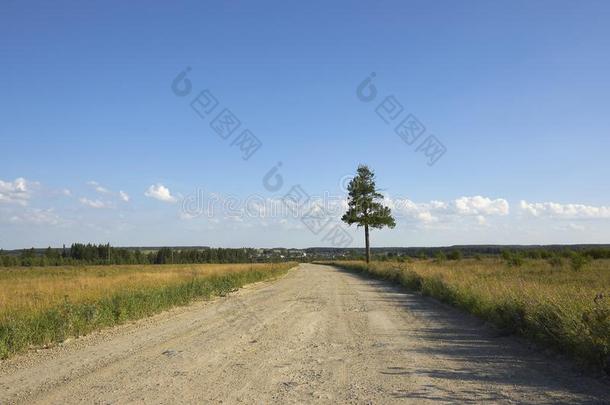 夏乡下的<strong>风景</strong>