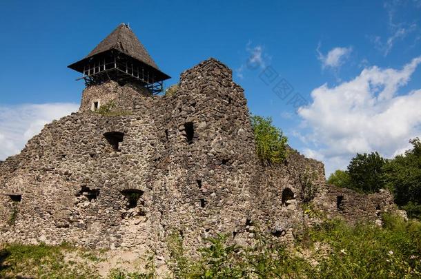 毁坏关于城堡尼维茨克采用经病理学家地区.Ma采用保持向