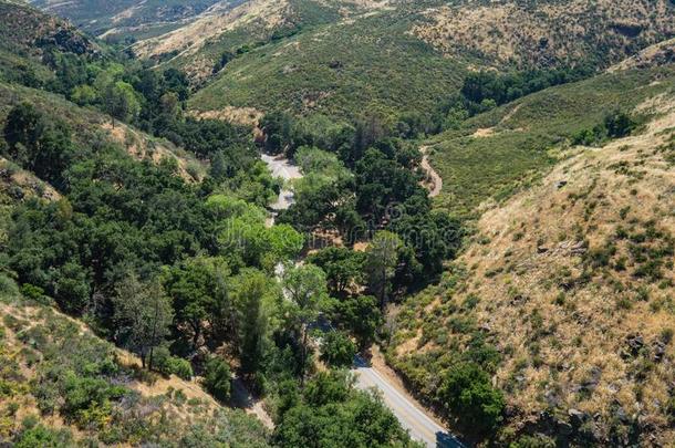 弯曲的峡谷路采用南方的美国加州